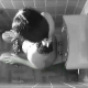 This near 8-minute video features three different voyeur type scenes of seemingly unsuspecting women pooping - seen from an overhead hidden camera. Clear audio reveals all the expected sounds. The poop is also quite visible in the toilet afterwards.